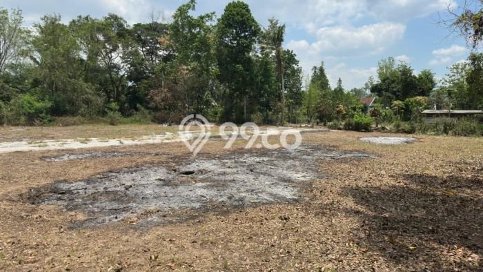 Tanah Siap Bangun Dijual di Yogyakarta Punya Luas 119m2 Tanah Siap Bangun Dijual di Yogyakarta Punya Luas 119m2