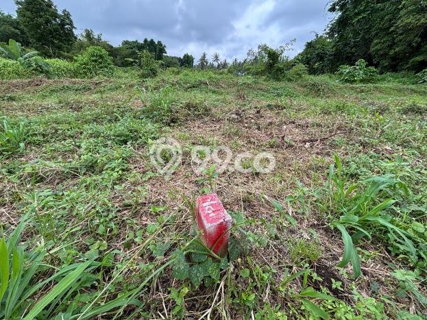 Kavling Tanah Dijual di Pakem Sleman Spesifikasi 145m2 Kavling Tanah Dijual di Pakem Sleman Spesifikasi 145m2