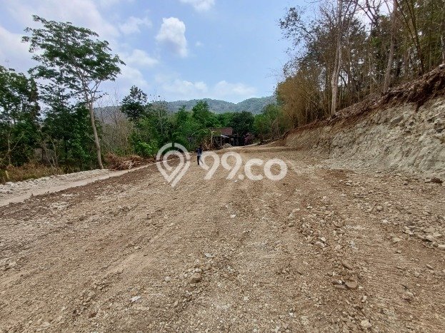 Tanah Siap Bangun Dijual di Yogyakarta Punya Luas 125m2 Tanah Siap Bangun Dijual di Yogyakarta Punya Luas 125m2