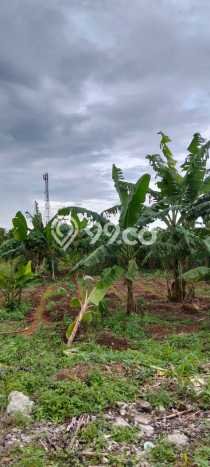 Lahan Dijual Lokasi Strategis di Bogor dengan Luas 97159m2 Lahan Dijual Lokasi Strategis di Bogor dengan Luas 97159m2