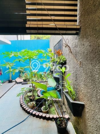 Jual Rumah Eksklusif 4 KT di Kebagusan, Jakarta Selatan Jual Rumah Eksklusif 4 KT di Kebagusan, Jakarta Selatan
