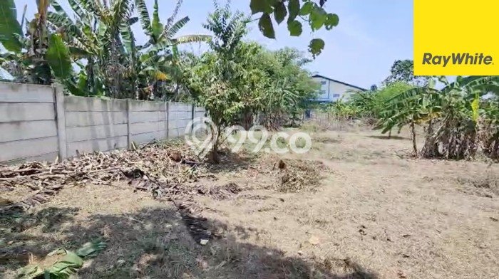 Tanah Siap Bangun Dijual di Tangerang Punya Luas 7070m2 Tanah Siap Bangun Dijual di Tangerang Punya Luas 7070m2