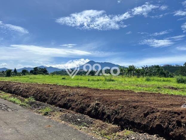 Dijual Tanah Lokasi Puncak, Bogor Seluas 1000m2 Dijual Tanah Lokasi Puncak, Bogor Seluas 1000m2