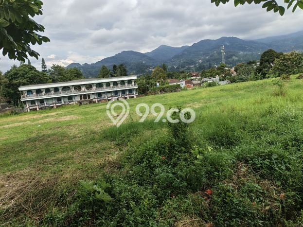 Dijual Tanah Lokasi Puncak, Bogor Seluas 1000m2 Dijual Tanah Lokasi Puncak, Bogor Seluas 1000m2