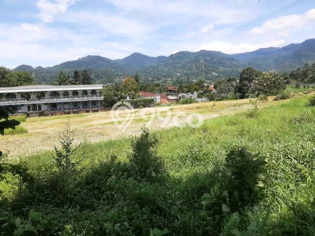 Dijual Tanah Lokasi Puncak, Bogor Seluas 500m2 Dijual Tanah Lokasi Puncak, Bogor Seluas 500m2