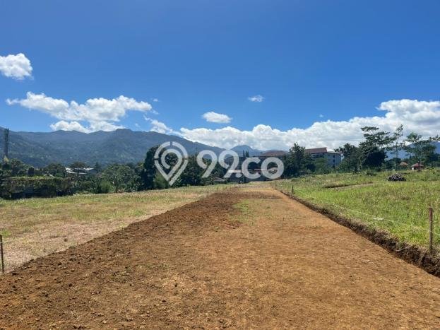 Tanah Kavling Dijual di Bogor dengan Spesifikasi 530m2 Tanah Kavling Dijual di Bogor dengan Spesifikasi 530m2