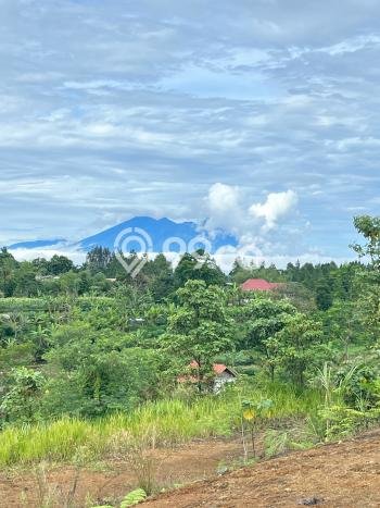 Lahan Dijual Lokasi Strategis di Bogor dengan Luas 150m2 Lahan Dijual Lokasi Strategis di Bogor dengan Luas 150m2