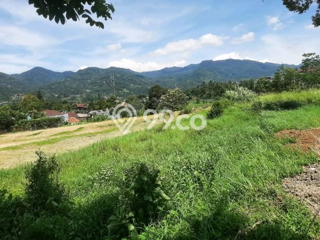 Dijual Tanah Lokasi Puncak, Bogor Seluas 500m2 Dijual Tanah Lokasi Puncak, Bogor Seluas 500m2