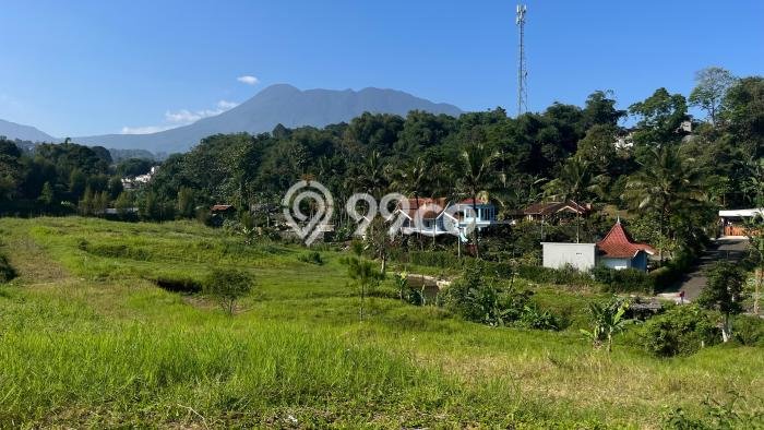 Lahan Dijual Lokasi Strategis di Bogor dengan Luas 250m2 Lahan Dijual Lokasi Strategis di Bogor dengan Luas 250m2