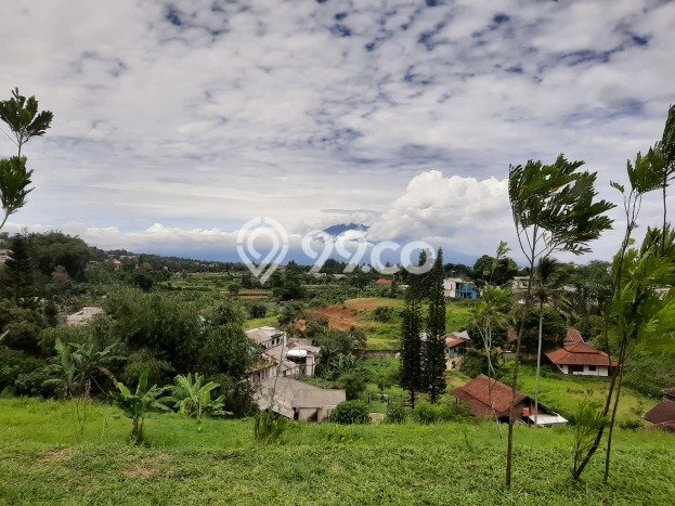 Dijual Tanah di Bogor, Luas 4500m2 SHM Dijual Tanah di Bogor, Luas 4500m2 SHM