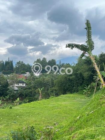 Tanah Dijual di Bogor Seluas 200m2 Strategis Tanah Dijual di Bogor Seluas 200m2 Strategis