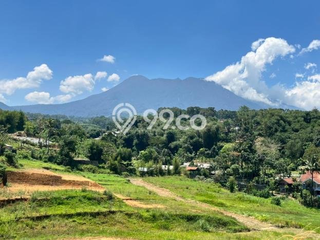 Tanah Siap Bangun Dijual di Bogor Punya Luas 400m2 Tanah Siap Bangun Dijual di Bogor Punya Luas 400m2