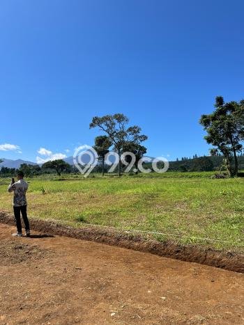 Tanah Kavling Dijual di Puncak, Bogor dengan Luas Tanah 350m2 Tanah Kavling Dijual di Puncak, Bogor dengan Luas Tanah 350m2