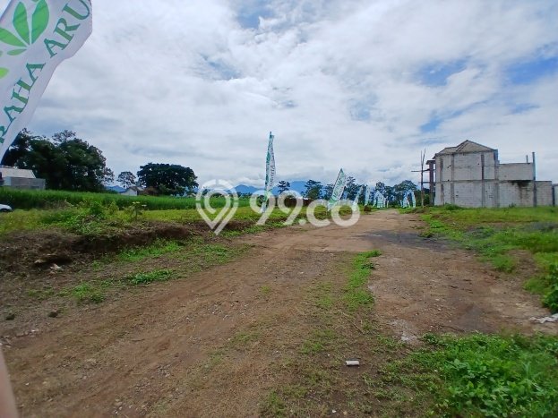 Lahan Investasi Lokasi Pakis Malang SHM Lahan Investasi Lokasi Pakis Malang SHM