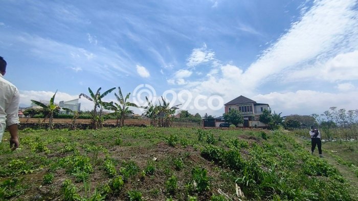 Tanah Dijual Area Strategis di Malang Kota Malang 140m2 Tanah Dijual Area Strategis di Malang Kota Malang 140m2