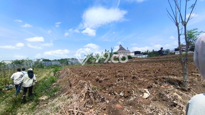 Tanah Investasi Dijual di Malang Punya Luas 140m2 Tanah Investasi Dijual di Malang Punya Luas 140m2
