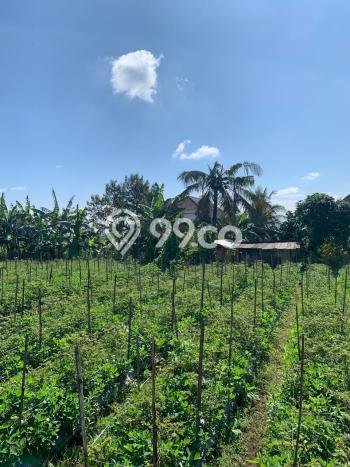 Dijual Tanah 84m2 di Malang Kota, Malang Dijual Tanah 84m2 di Malang Kota, Malang