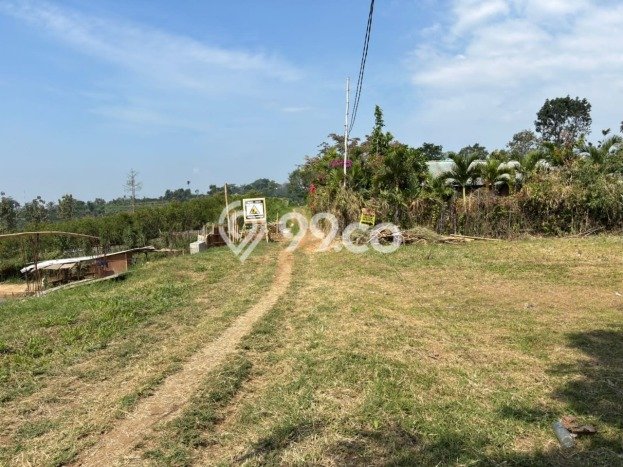 Kost Dijual di Dau Spesifikasi 10 KT & 10 KM Kost Dijual di Dau Spesifikasi 10 KT & 10 KM