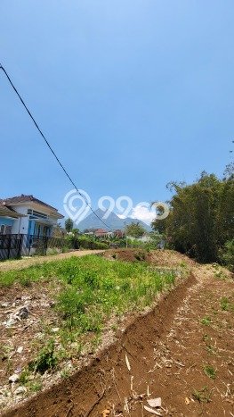 Tanah Dijual di Malang Seluas 136m2 Strategis Tanah Dijual di Malang Seluas 136m2 Strategis
