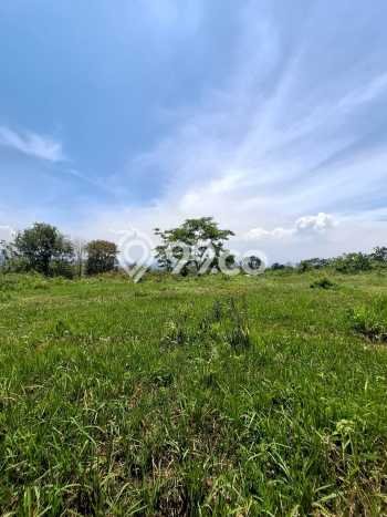 Tanah Dijual Area Strategis di Malang Kota Malang 60m2 Tanah Dijual Area Strategis di Malang Kota Malang 60m2