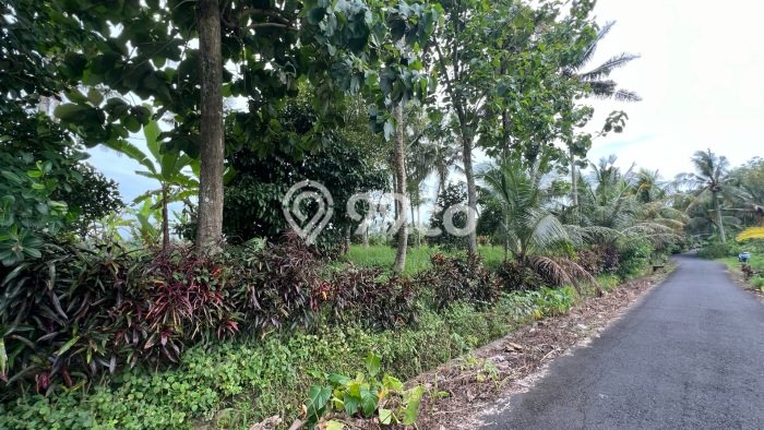 Lahan Kosong Dijual di Tabanan dengan Area 1200m2 Lahan Kosong Dijual di Tabanan dengan Area 1200m2