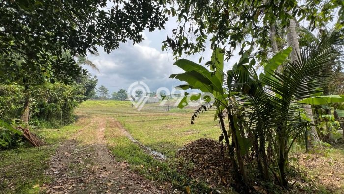 Tanah Kavling untuk Dijual di Selemadeg Tabanan 1350m2 Tanah Kavling untuk Dijual di Selemadeg Tabanan 1350m2