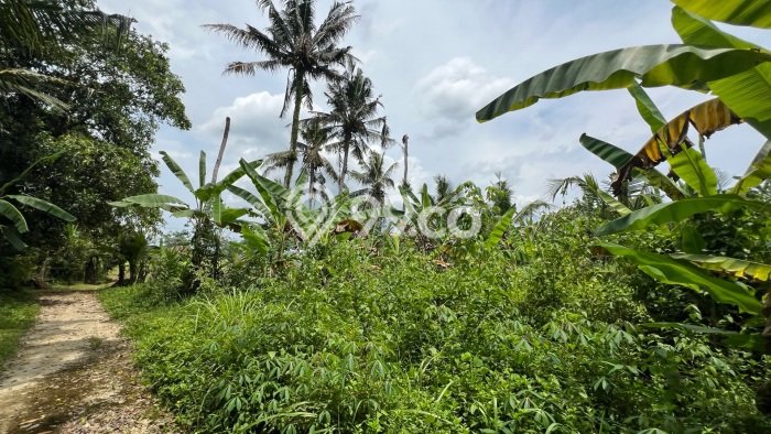 Tanah Kavling untuk Dijual di Selemadeg Tabanan 1350m2 Tanah Kavling untuk Dijual di Selemadeg Tabanan 1350m2