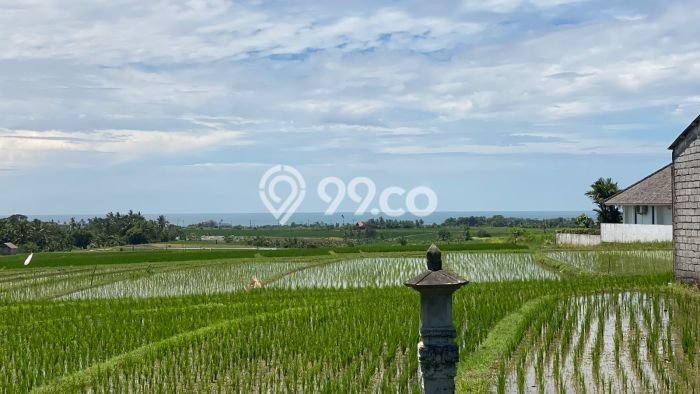 Kavling Tanah Dijual di Selemadeg Tabanan Spesifikasi 400m2 Kavling Tanah Dijual di Selemadeg Tabanan Spesifikasi 400m2