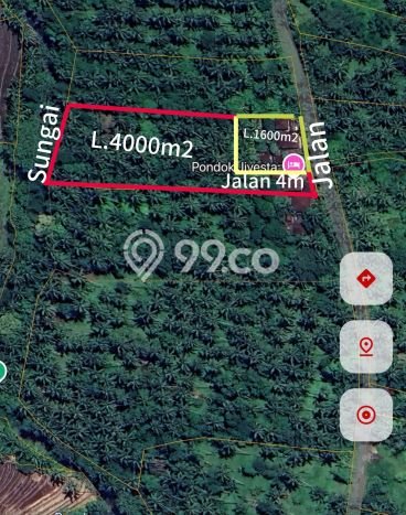 Lahan Dijual Lokasi Penebel, Tabanan dengan Luas Tanah 4000m2 dan Status SHM Lahan Dijual Lokasi Penebel, Tabanan dengan Luas Tanah 4000m2 dan Status SHM