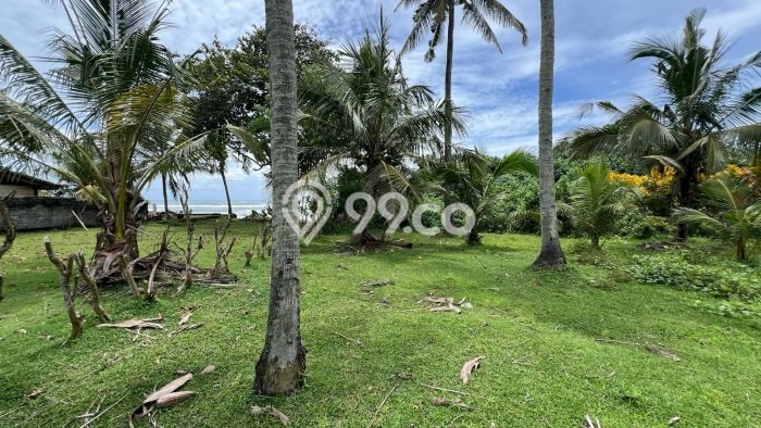 Tanah Kavling untuk Dijual di Tabanan Tabanan 1150m2 Tanah Kavling untuk Dijual di Tabanan Tabanan 1150m2