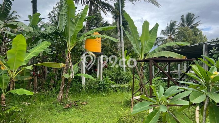 Lahan Kosong Dijual di Tabanan dengan Area 500m2 Lahan Kosong Dijual di Tabanan dengan Area 500m2