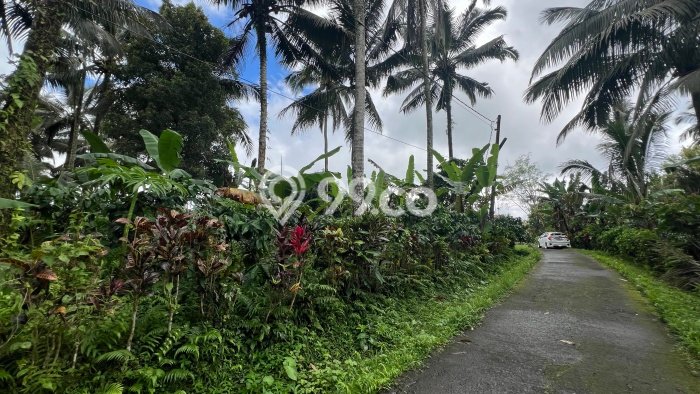 Tanah untuk Dijual di Selemadeg Tabanan Luas 9400m2 Tanah untuk Dijual di Selemadeg Tabanan Luas 9400m2