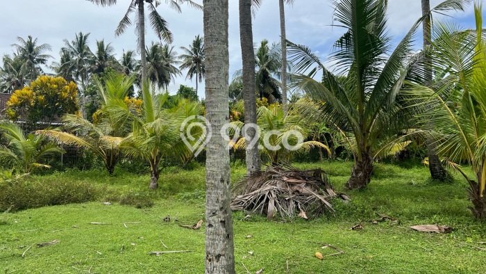 Tanah Kavling untuk Dijual di Tabanan Tabanan 1150m2 Tanah Kavling untuk Dijual di Tabanan Tabanan 1150m2