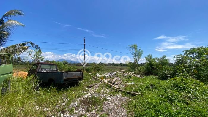 Kavling Tanah Dijual di Selemadeg Tabanan Spesifikasi 400m2 Kavling Tanah Dijual di Selemadeg Tabanan Spesifikasi 400m2
