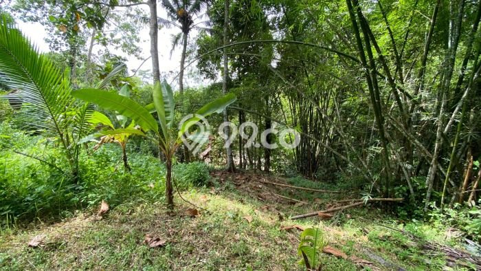 Kavling Tanah Dijual di Selemadeg Tabanan Spesifikasi 2000m2 Kavling Tanah Dijual di Selemadeg Tabanan Spesifikasi 2000m2