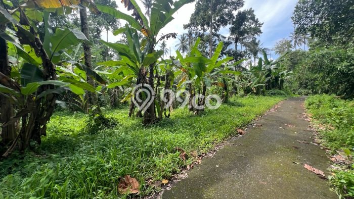Tanah Dijual Lokasi Strategis di Tabanan dengan Luas 1250m2 Tanah Dijual Lokasi Strategis di Tabanan dengan Luas 1250m2