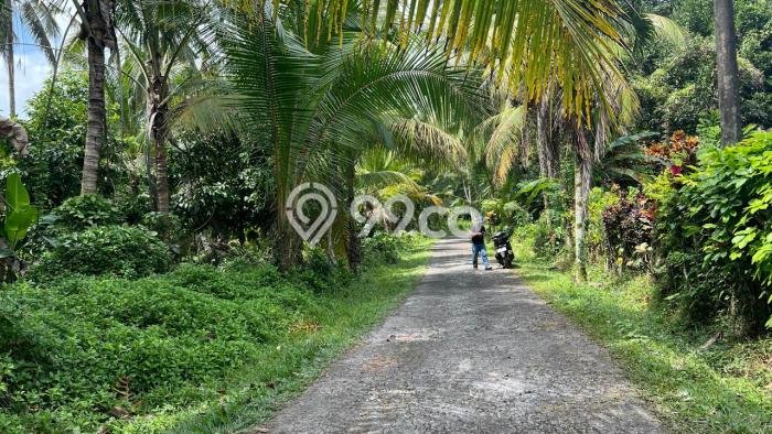Lahan Dijual Lokasi Penebel, Tabanan dengan Luas Tanah 4000m2 dan Status SHM Lahan Dijual Lokasi Penebel, Tabanan dengan Luas Tanah 4000m2 dan Status SHM