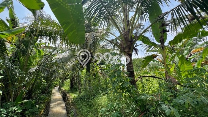 Tanah Kavling untuk Dijual di Selemadeg Tabanan 1350m2 Tanah Kavling untuk Dijual di Selemadeg Tabanan 1350m2