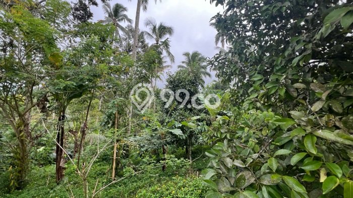Dijual Tanah Lokasi Penatahan, Tabanan Seluas 8000m2 Dijual Tanah Lokasi Penatahan, Tabanan Seluas 8000m2