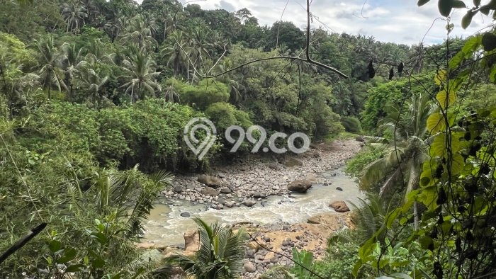 Lahan Investasi Lokasi Selemadeg Tabanan SHM Lahan Investasi Lokasi Selemadeg Tabanan SHM