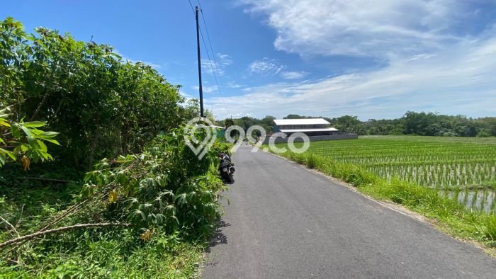 Kavling Tanah Dijual di Selemadeg Tabanan Spesifikasi 400m2 Kavling Tanah Dijual di Selemadeg Tabanan Spesifikasi 400m2