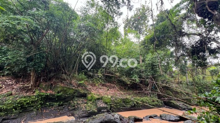 Tanah Dijual Lokasi Kerambitan, Tabanan Luas 3100m2 Legalitas Aman Tanah Dijual Lokasi Kerambitan, Tabanan Luas 3100m2 Legalitas Aman