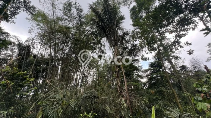 Tanah Area Berkembang Kawasan Penebel, Luas 1400m², Lingkungan Asri, Akses Penebel, Tabanan, Tabanan Tanah Area Berkembang Kawasan Penebel, Luas 1400m², Lingkungan Asri, Akses Penebel, Tabanan, Tabanan