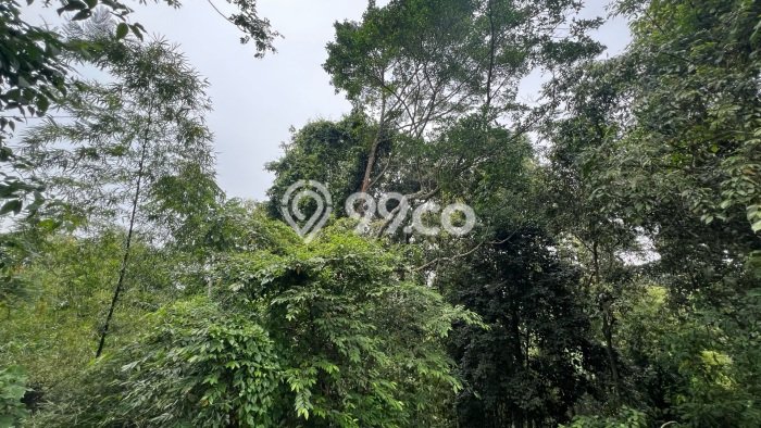 Kavling Tanah Dijual di Kerambitan Tabanan Spesifikasi 1200m2 Kavling Tanah Dijual di Kerambitan Tabanan Spesifikasi 1200m2