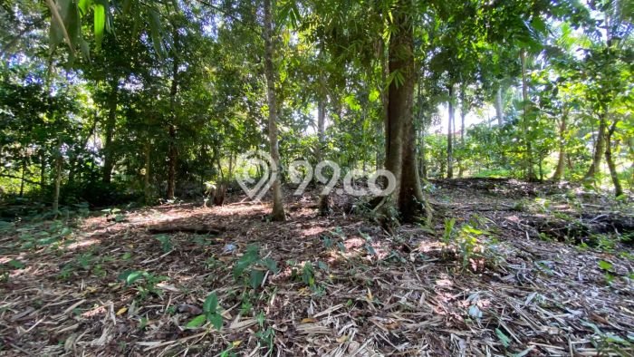 Lahan untuk Dijual di Selemadeg Tabanan Luas 2880m2 Lahan untuk Dijual di Selemadeg Tabanan Luas 2880m2
