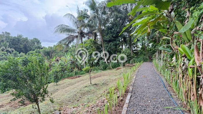 Lahan Kosong Dijual di Selemadeg, Tabanan, Luas 3300m2 Area Strategis Lahan Kosong Dijual di Selemadeg, Tabanan, Luas 3300m2 Area Strategis