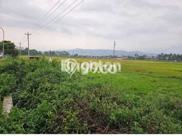 Tanah Dijual Lokasi Ambarawa, Ambarawa Luas 3310m2 Legalitas Aman Tanah Dijual Lokasi Ambarawa, Ambarawa Luas 3310m2 Legalitas Aman