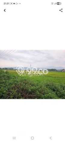 Tanah Dijual Lokasi Ambarawa, Ambarawa Luas 3310m2 Legalitas Aman Tanah Dijual Lokasi Ambarawa, Ambarawa Luas 3310m2 Legalitas Aman