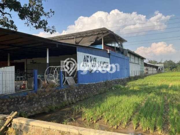 Gudang Bagus Dijual di Salatiga Salatiga Strategis Cocok untuk Kembangkan Bisnis Gudang Bagus Dijual di Salatiga Salatiga Strategis Cocok untuk Kembangkan Bisnis