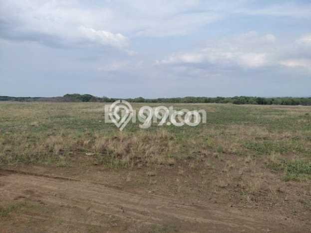 Tanah Kosong Dijual di Semarang dengan Area 90000m2 Tanah Kosong Dijual di Semarang dengan Area 90000m2